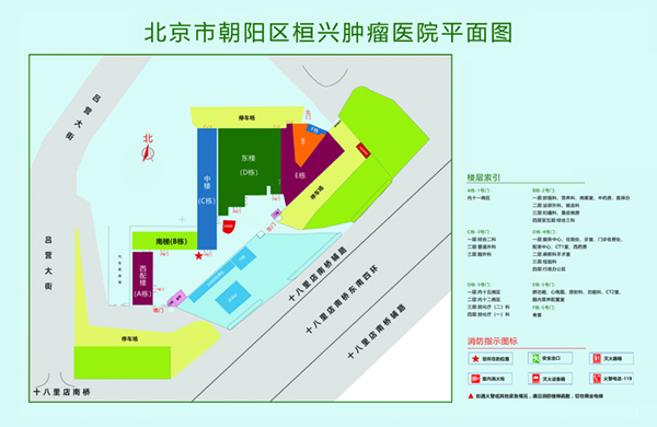 肌肌抄逼视频北京市朝阳区桓兴肿瘤医院平面图